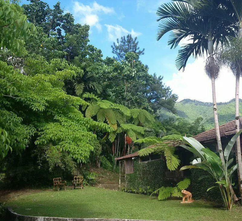 Lejartre'S Retreat Pension Mount James