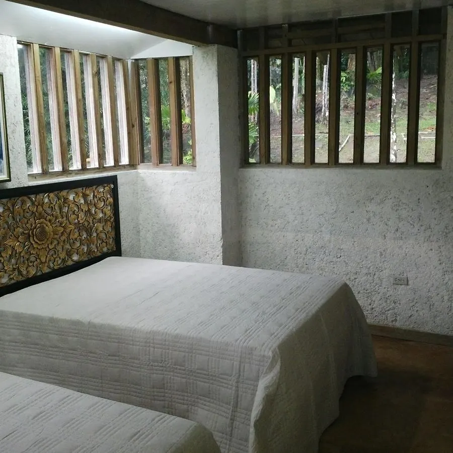 Lejartre'S Retreat Pension Mount James Jamaica