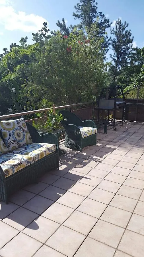Lejartre'S Retreat Pension Mount James Jamaica