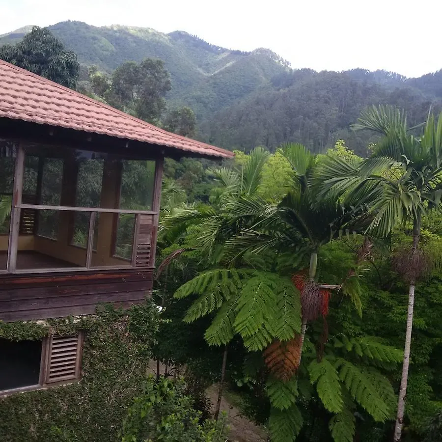 Lejartre'S Retreat Pension Mount James 0*,  Jamaica