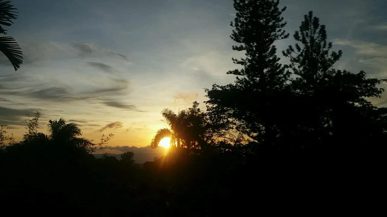 Landhuis Lejartre'S Retreat Pension Mount James Jamaica