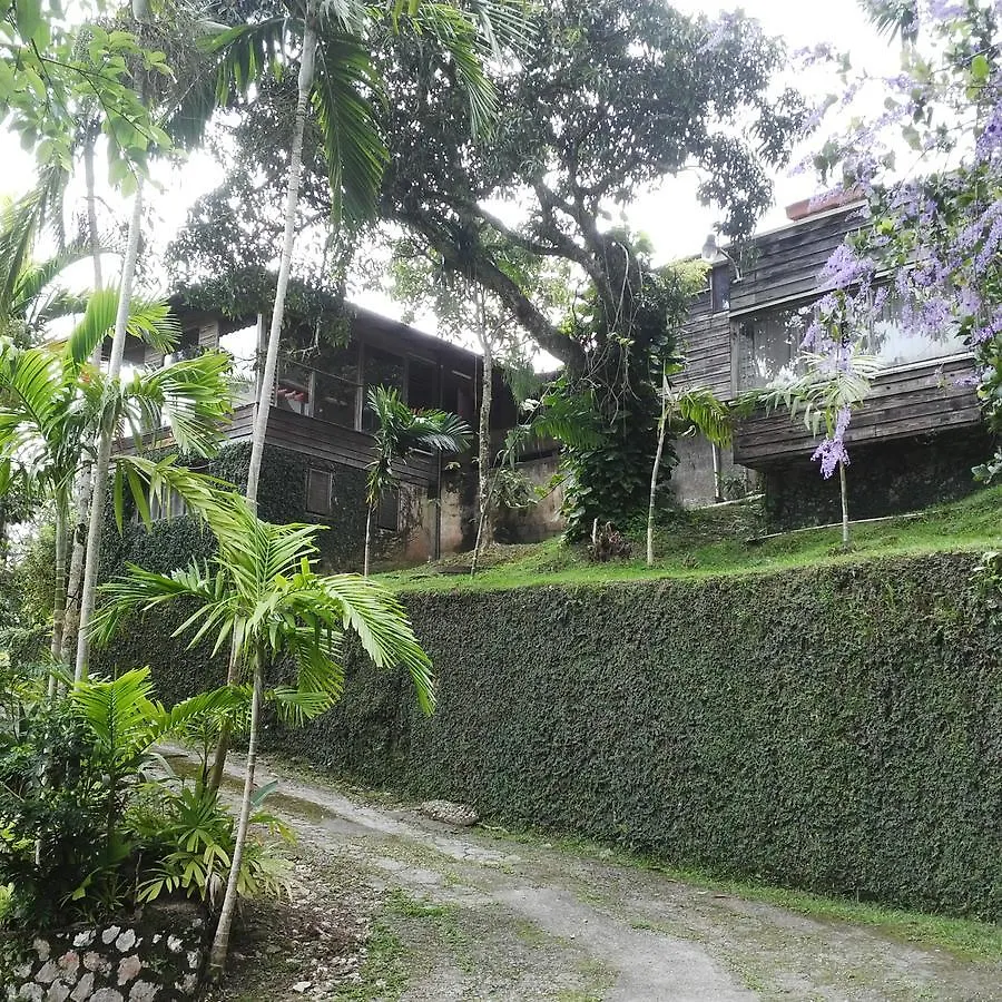 Lejartre'S Retreat Pension Mount James Landhuis